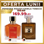 Tobacco Vanilla Charuto + Pendora Rouge
