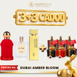 Le Chel Madame + Casablanca + Western Oud + 3x Parfumuri Cadou