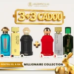Arab Al Airah + Western Oud + Petra + Casablanca + Musk Maghribi + Magnum Opus