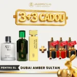 Ardagio Aqua Men + Magnum Opus + Wester Oud + 3x Parfumuri Cadou
