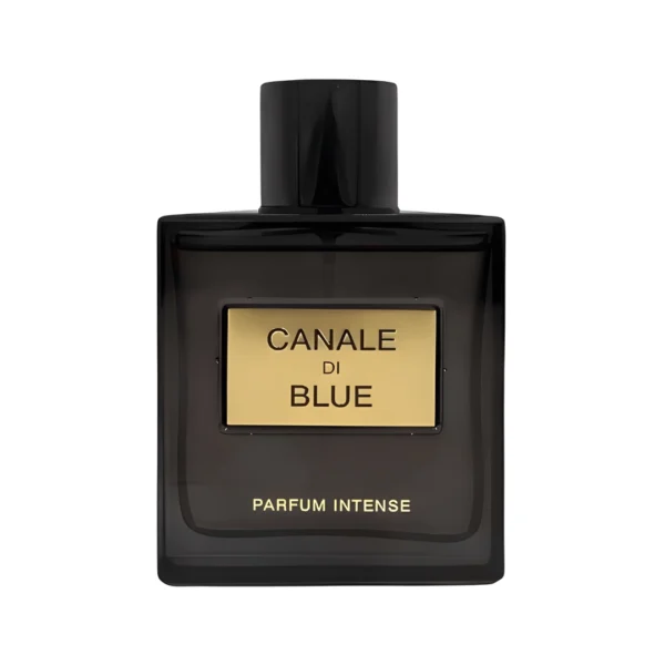 Fragrance World Canale Di Blue Intense EDP 100ml
