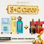 Riiffs Freeze + Western Oud + Arab al Airah + 2x Parfumuri Cadou
